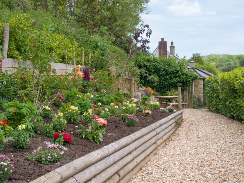 Garden area | Grapevine, Branscombe