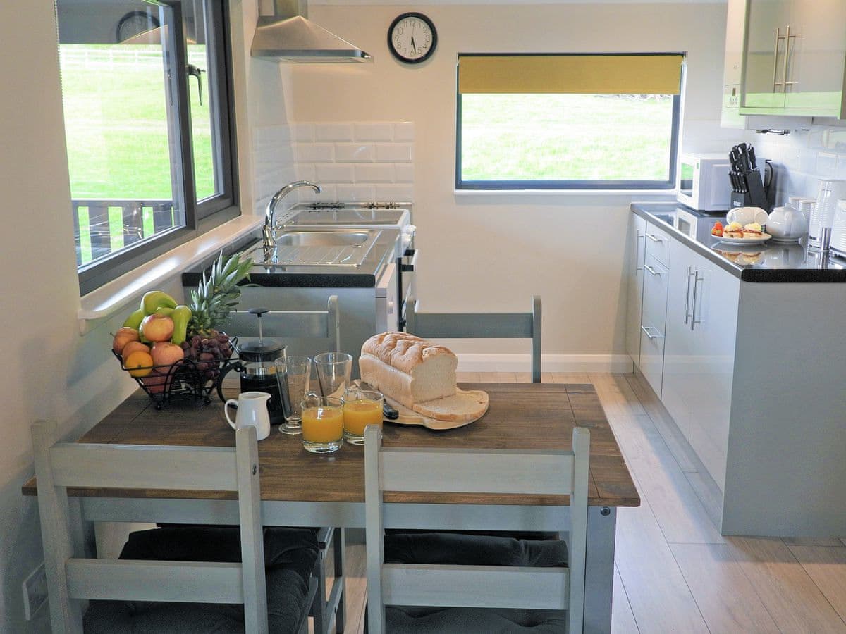 Springfield Meadows - Primrose Lodge - Holiday Lodge in South West England - Image 3