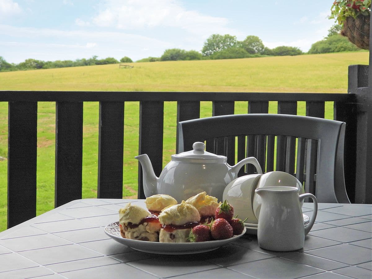 Springfield Meadows - Bluebell Lodge - Holiday lodge in South West England - Image 1