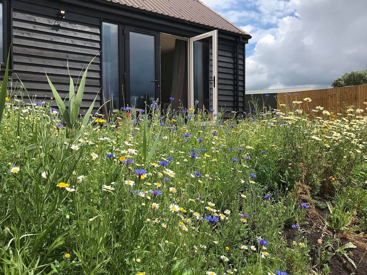 Rookery Waters - Deer Lodge - Holiday lodge in East Anglia - Image 1