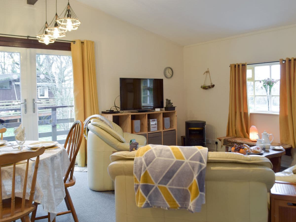 Torwood Lodges - Owls About - Holiday lodge in South Wales - Image 2