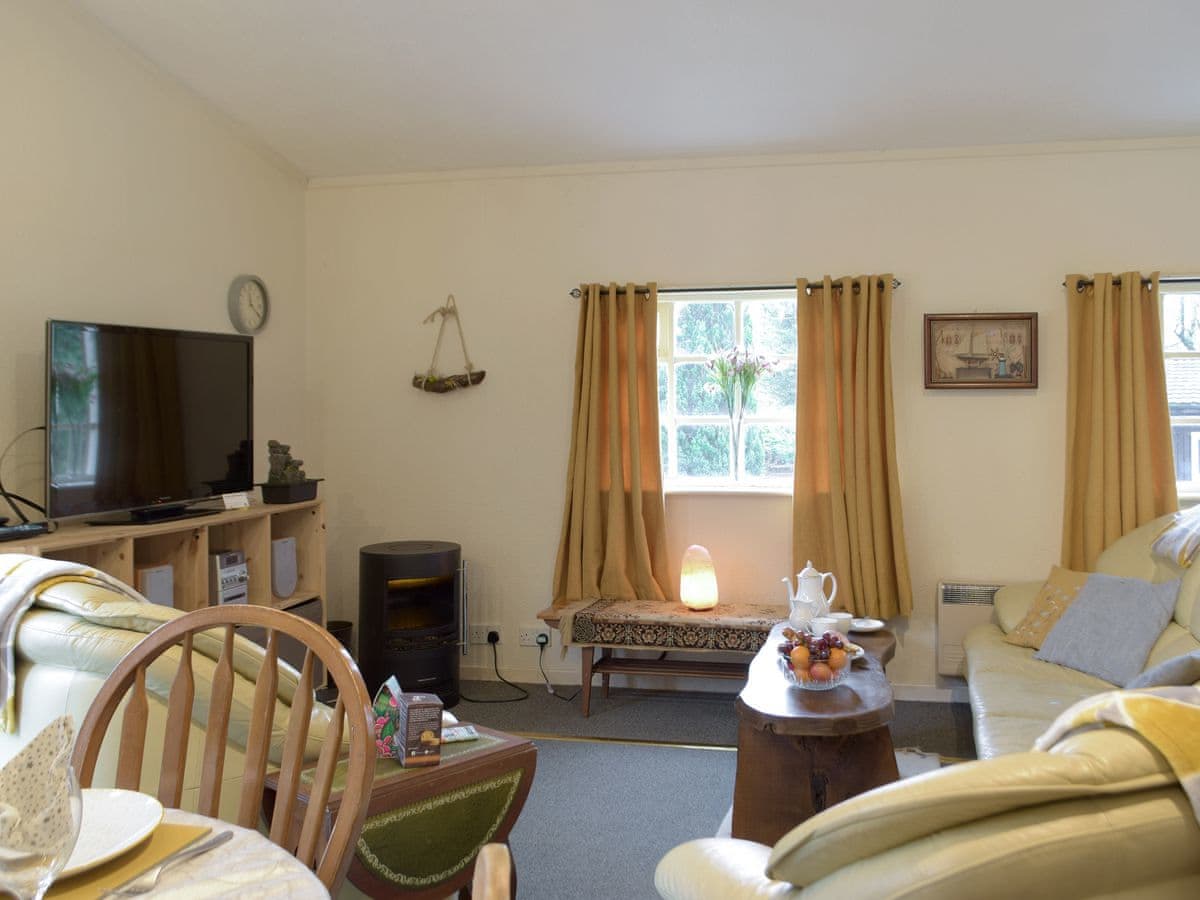 Torwood Lodges - Owls About - Holiday lodge in South Wales - Image 5