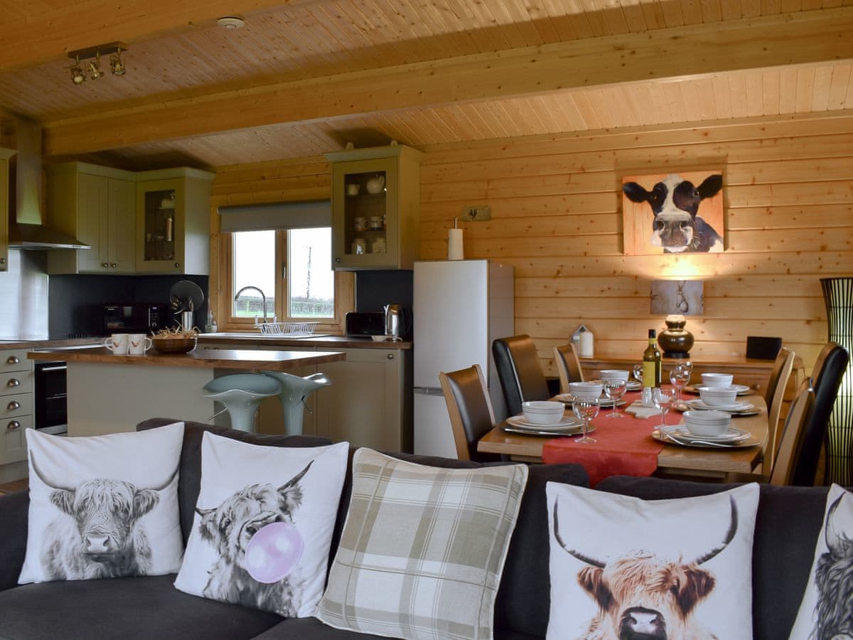 Scarlett Lodge - Holiday Lodge in North Wales - Image 5