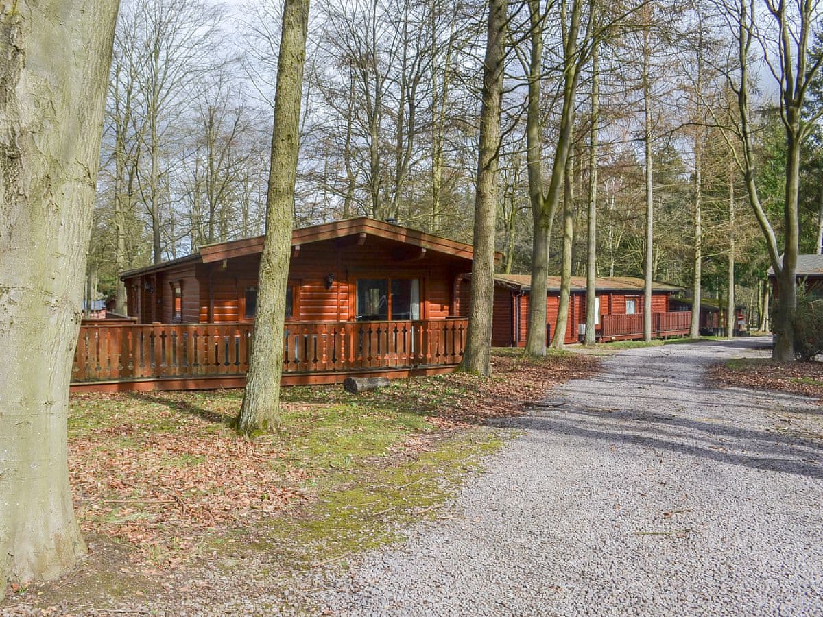 Paradise Lodge - Holiday lodge in Central England - Image 1