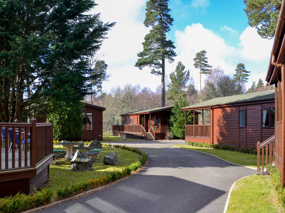 Royal Deeside Woodland Lodges - Lodge B - Image 2