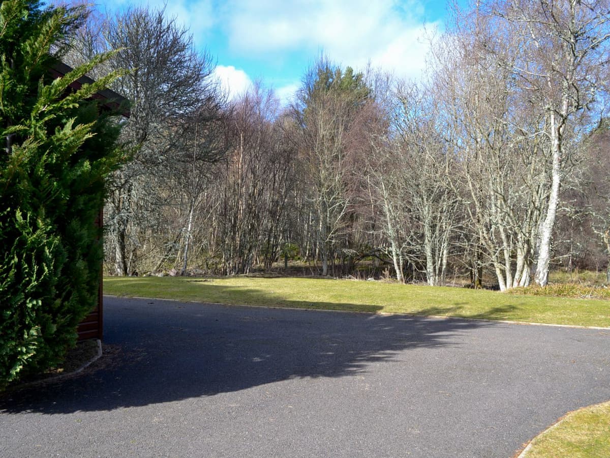 Royal Deeside Woodland Lodges - Lodge B - Image 5