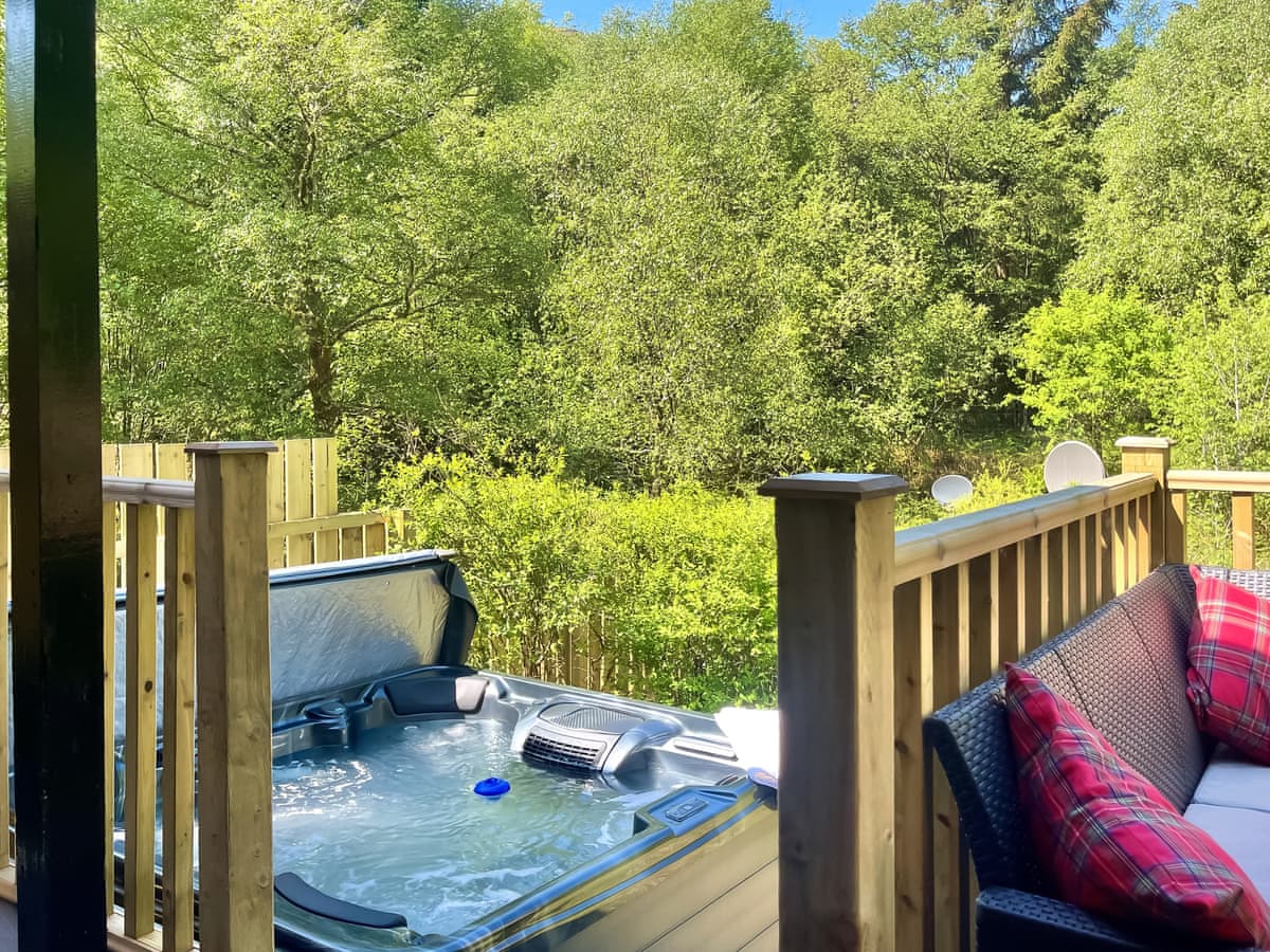 Ash Lodge - Holiday lodge in Central Scotland - Image 2