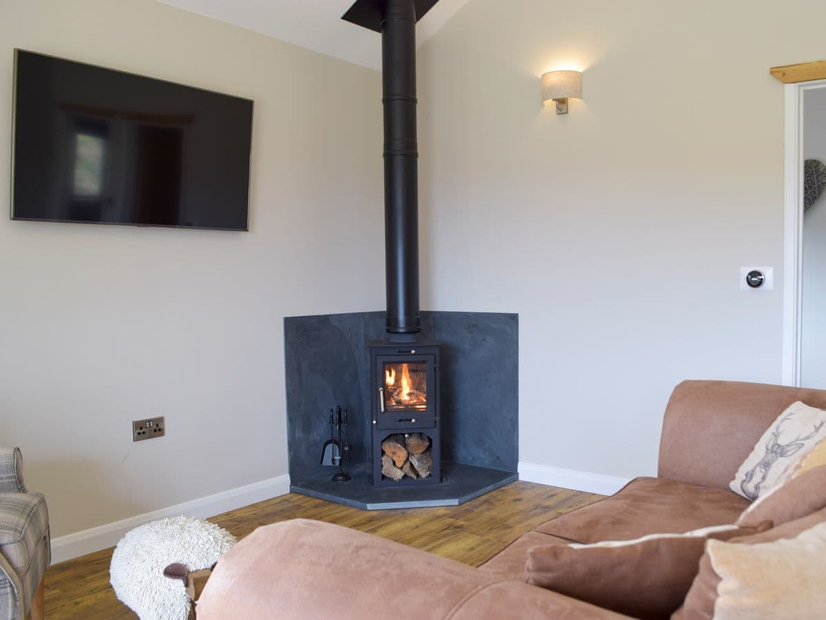 Glanyrafon Lodges - Cadno - Image 2