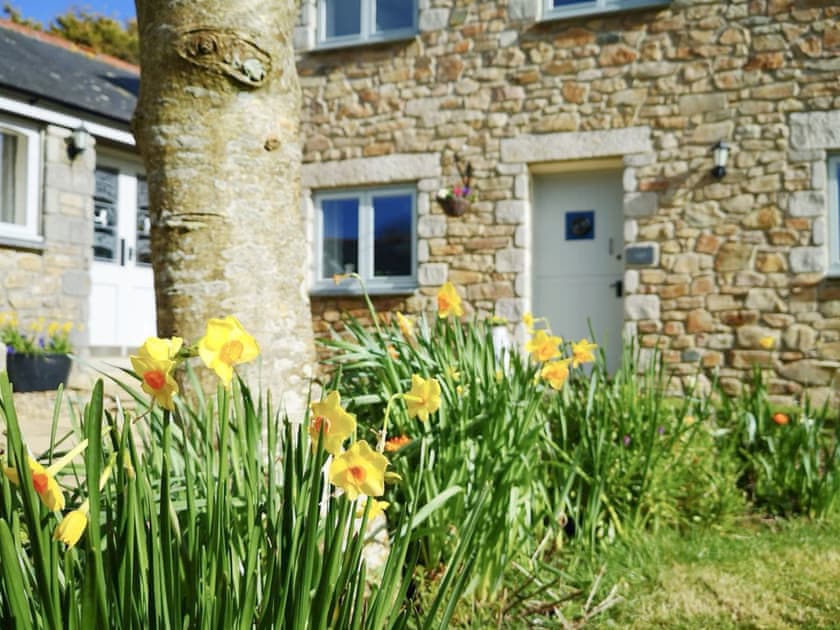 Exterior | Friesian Valley Cottages - Ash - Friesian Valley Cottages , Mawla, near Porthtowan