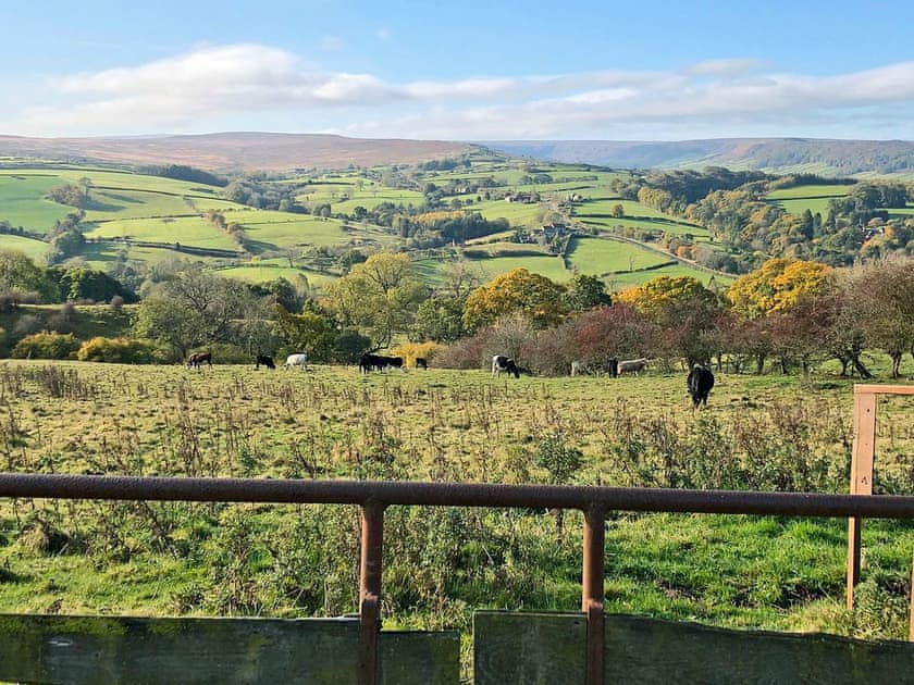 Stunning countryside | Fern Cottage, Lealholm, near Whitby