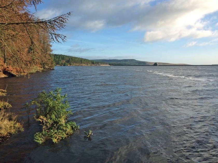 Breathtaking surrounding area | Merry Burn Barn, Ferny Rigg Byre, Falstone, near Kielder