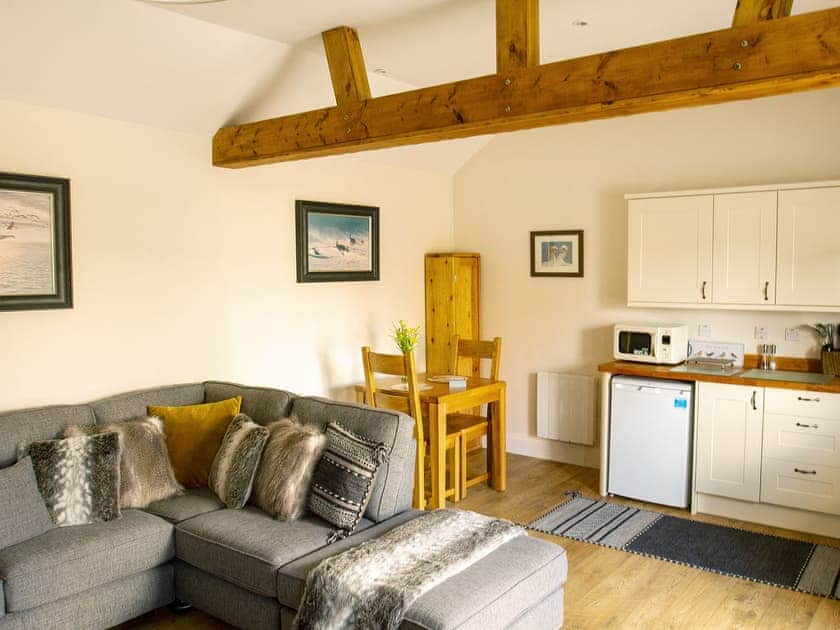 Delightful open plan living space | Gannet Lodge - Seabird Lodges, Bempton