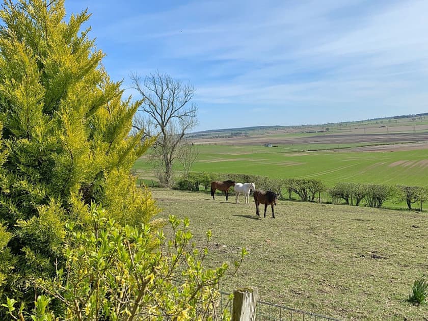 Stunning expansive views | The Cottage, Methven, near Perth