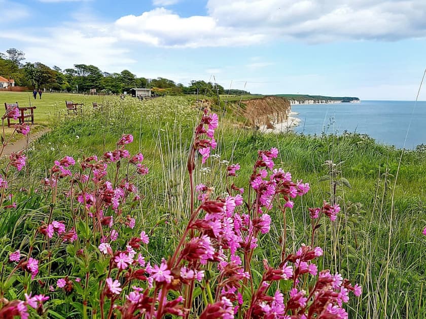 Sewerby | Woodlands, Sewerby, near Bridlington