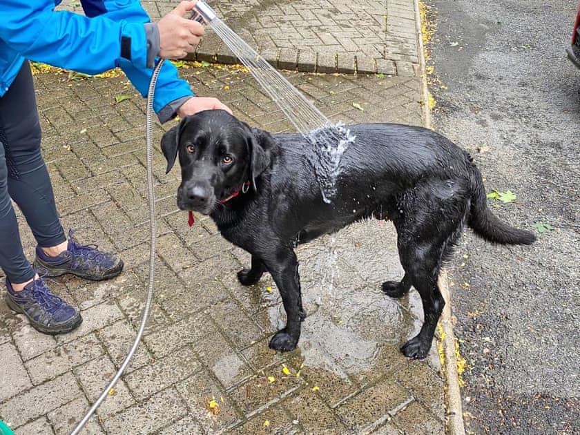 Dog shower | Cannondale, Annisgarth, near Windermere