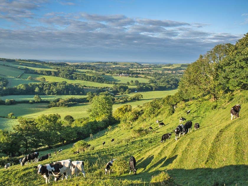 Wonderful surrounding area | Henning Lodge, Melbury Lodge, Rawlsbury Lodge - Brewery Farm Lodges, Ansty, near Dorchester