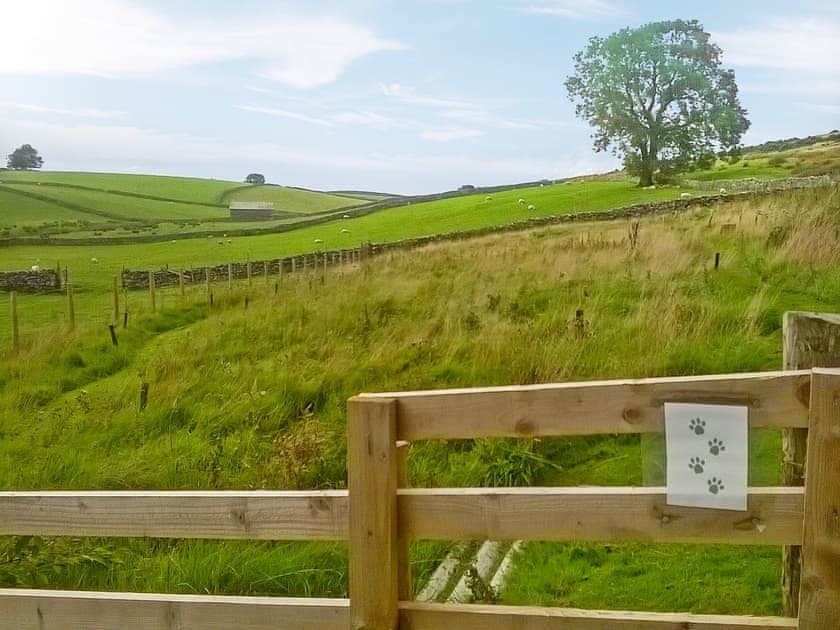 Let your dog burn off some energy in our secure dog run paddock | Brow View Cottage, Ravenstonedale, near Kirkby Stephen