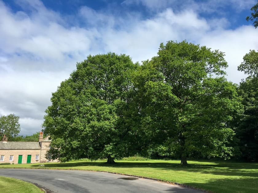 Driveway | Oak Cottage, Lowther, near Pooley Bridge