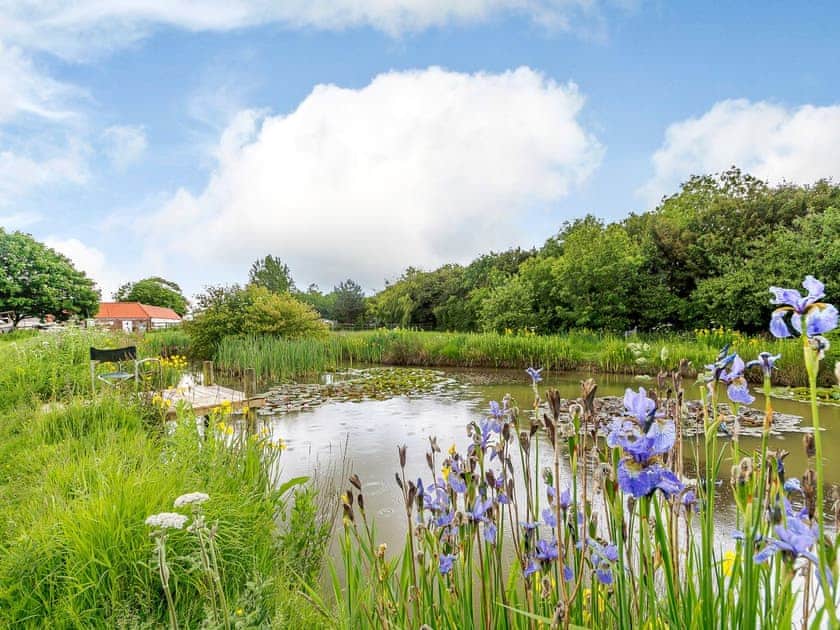 Wonderful setting | Cottage in the Pond, Garton, near Hornsea