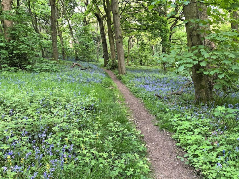 Linacre Reservoir | Tawny Owl Barn - Green Farm Holiday Cottages, Cutthorpe, near Chesterfield