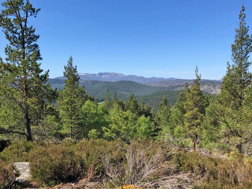 View from the top of Craigendarroch Hill | Craigclunie, Ballater
