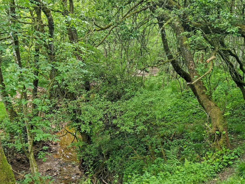 Wonderful surrounding area | Low Floweryhirst Cottage, Roweltown, near Brampton