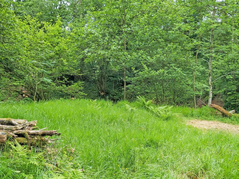 Wonderful surrounding area | Low Floweryhirst Cottage, Roweltown, near Brampton