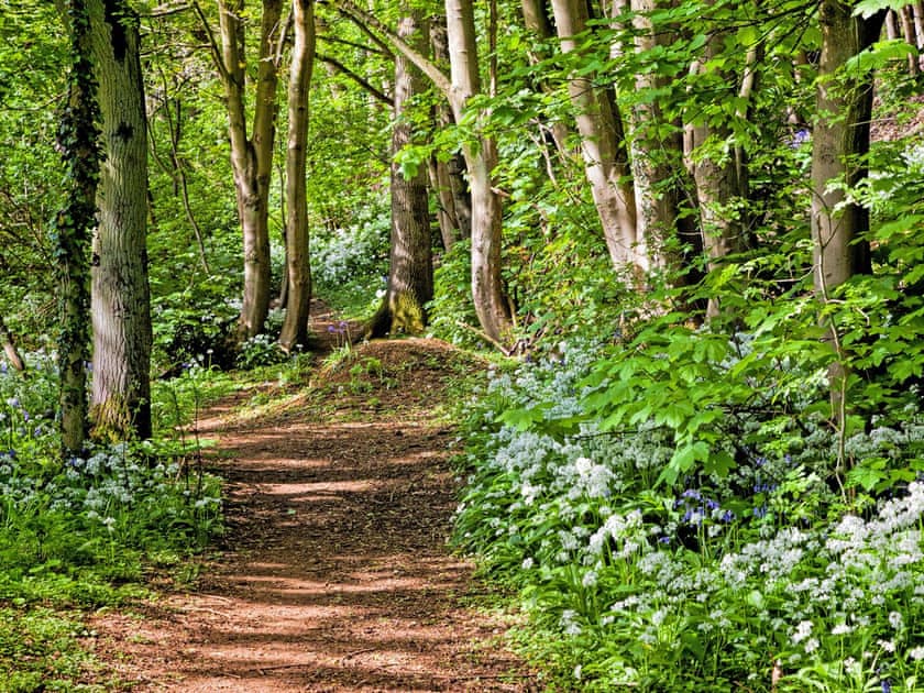 Beautiful surrounding area | Squirrel Cottage, Hook Norton, near Chipping Norton
