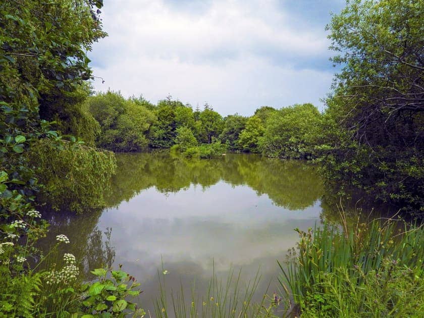 Surrounding area