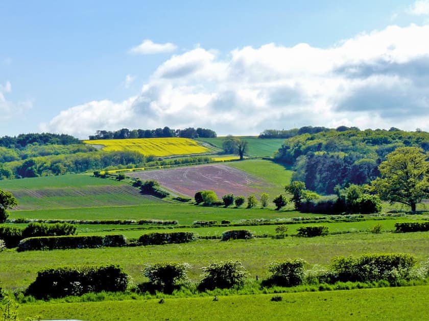 View | Wold View Cottage, Thorpe Bassett, near Malton