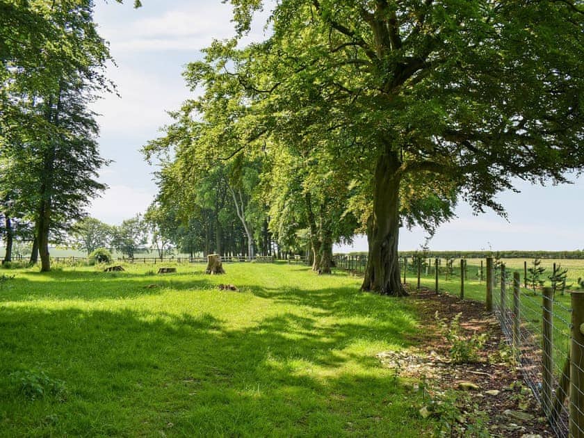 Surrounding area