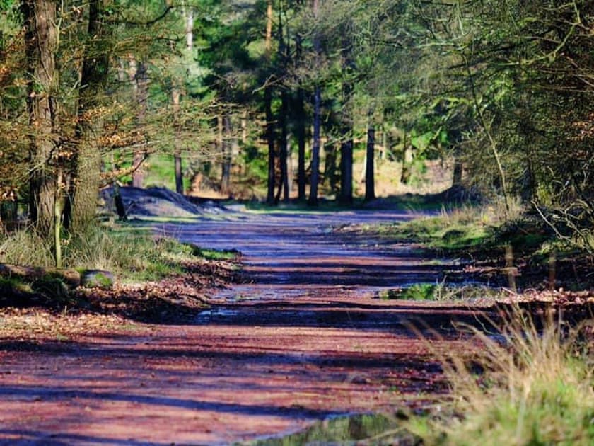 Surrounding area | The Nook, Whitecroft, Forest of Dean