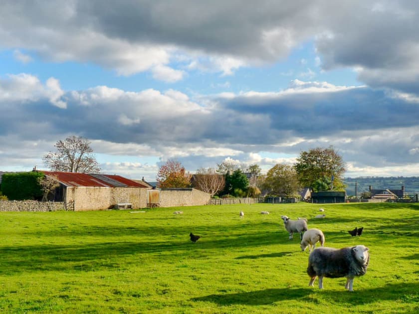 Garden and grounds | Snowdrop Cottage, Thornton Steward, near Leyburn