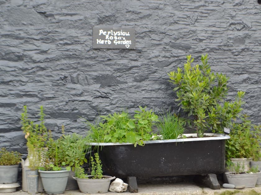 Exterior | Caffi Sali - Pentre Bach, Blaenpennal, Aberystwyth