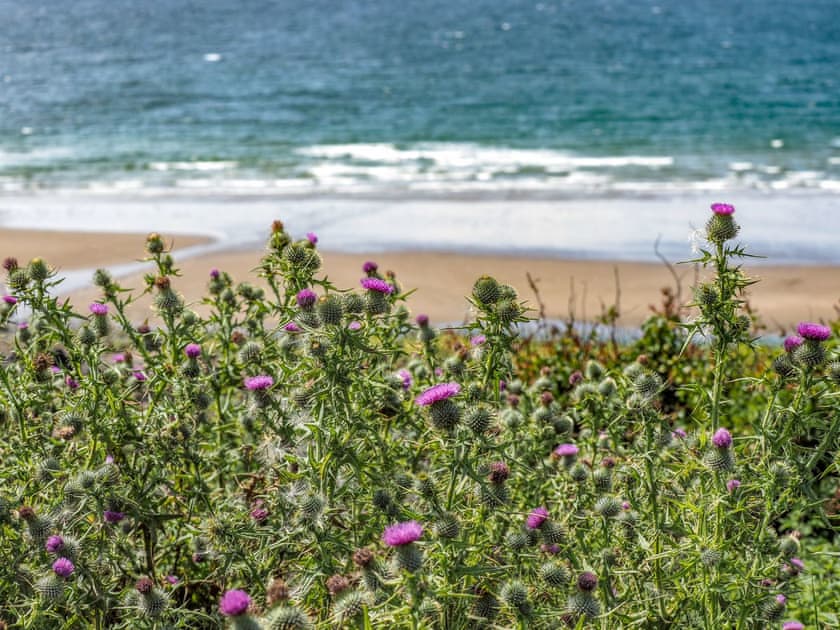 Surrounding area | Killantrae Burn, Port William