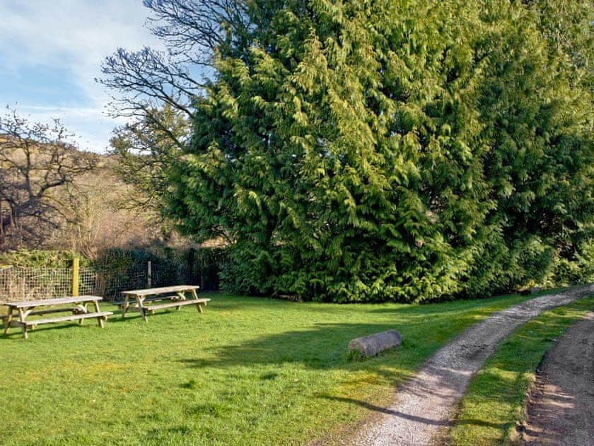 Garden and grounds | Wooder Manor, Widecombe-in-the-Moor, near Bovey Tracey