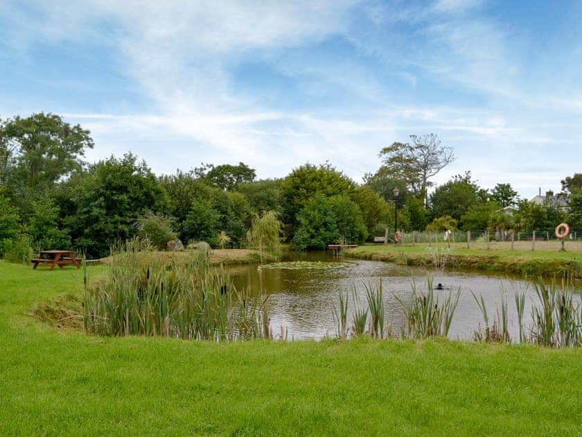 Garden and grounds | Carter’s Rest - Llwyn Ffynnon, Y Ffôr, near Pwllheli