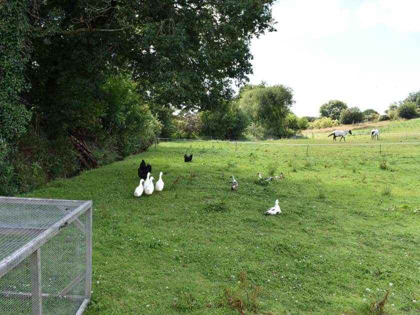 Surrounding area | Glimsters Cottage - Glimsters Farm Holiday let, Kentisbeare, Cullompton