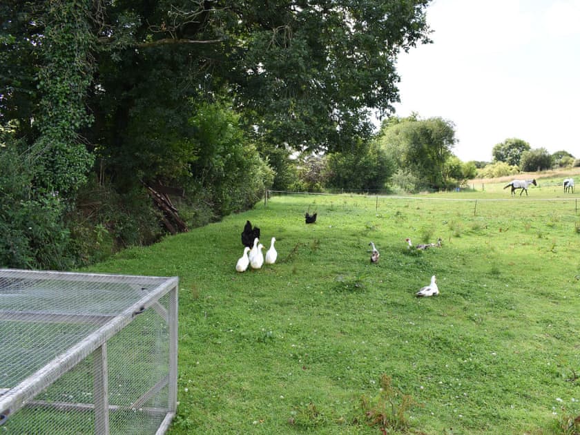 Please note this is a view only and not accessible to guests.  | Fair Maid - Glimsters Farm Holiday let, Kentisbeare, Cullompton