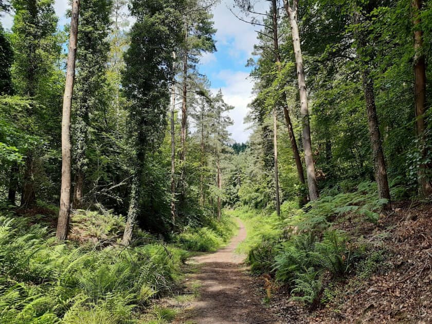 Surrounding area | The Briars, Lydbrook, Forest of Dean