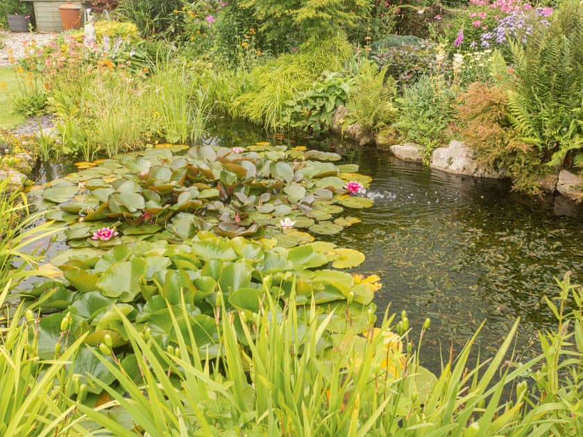 Garden | Hippo’s Rest, Harriseahead