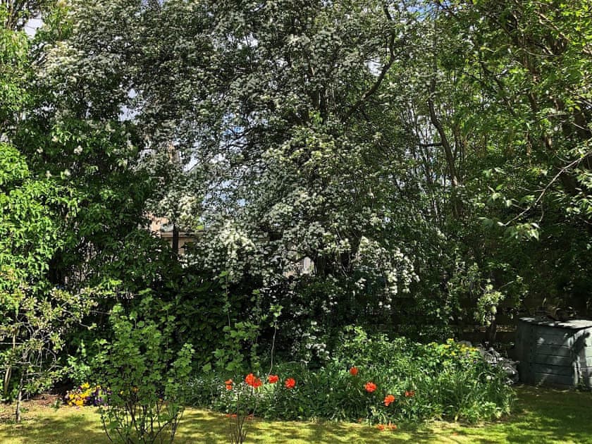 Garden | Craigclunie, Ballater