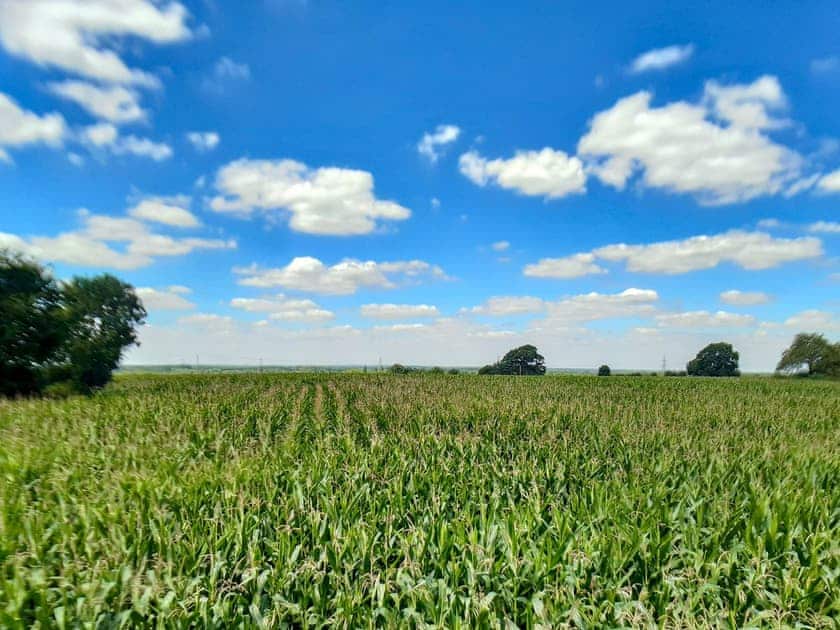 Surrounding area | The Fold, Appleton, near Abingdon