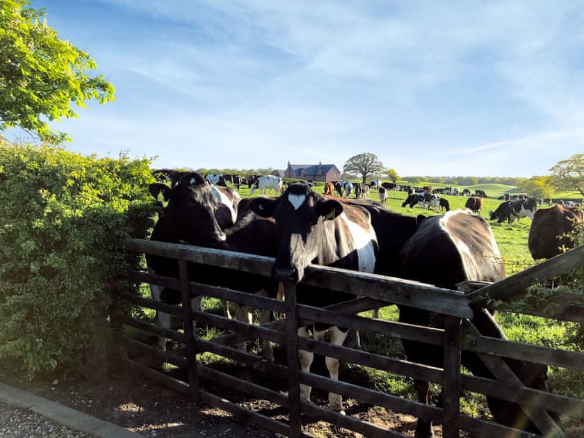 Surrounding area | The Pigsty, The Stable - Domvilles Farm, Audley