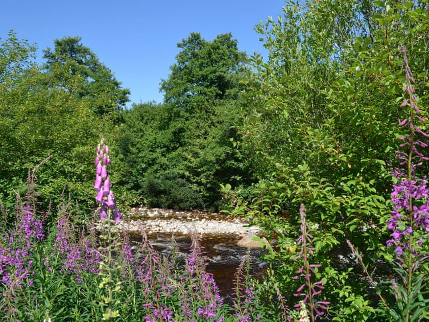 View from garden | Battanropie Lodge, Carrbridge