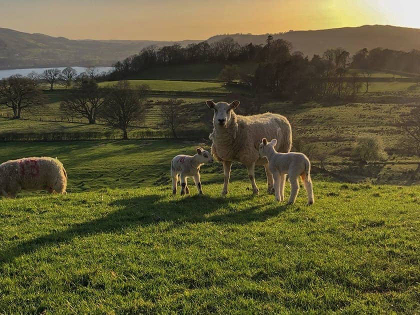 Surrounding area | Brook House 1 - Brook House Cottage Holidays, Bassenthwaite