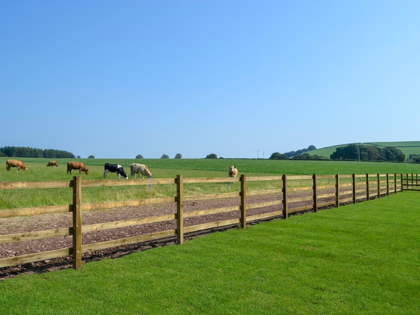 View | Auchen Ladder, Amisfield, near Dumfries