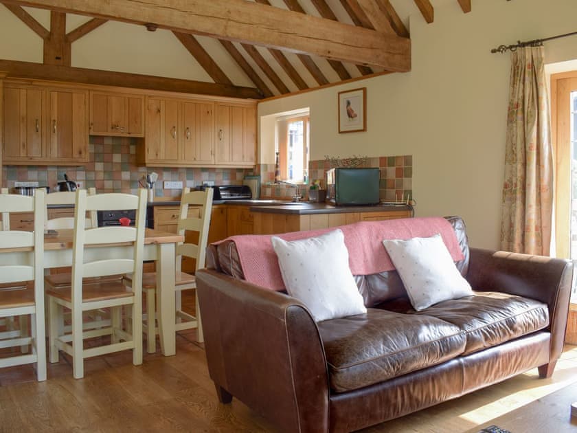 Open plan living space | Talog Barn - Hafod Talog Barns, Tregynon