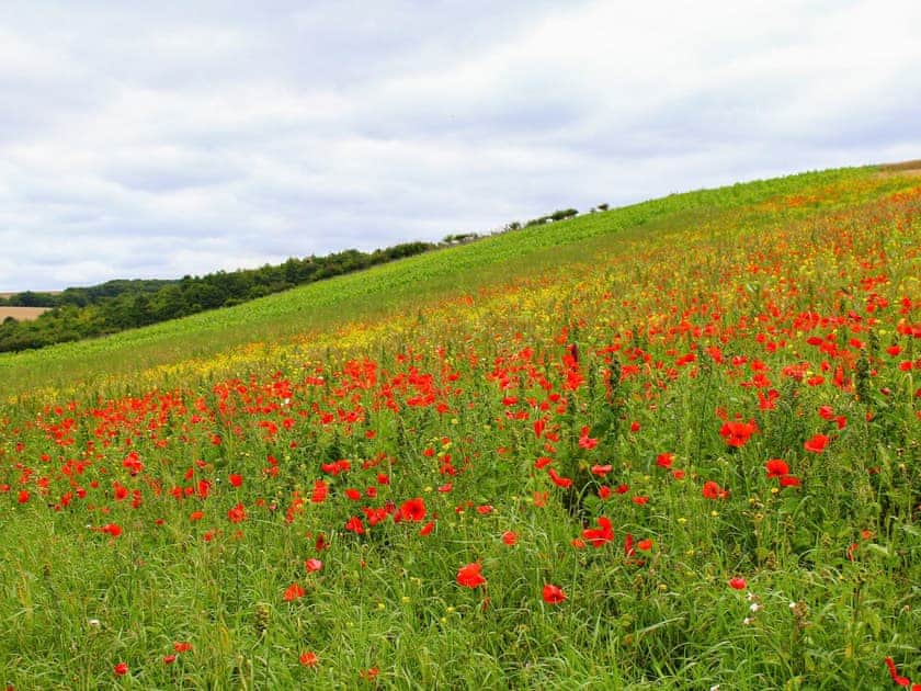 Surrounding area | The Old Cowshed, The Dairy - The Drewton Estate Cottages, South Cave near Beverley