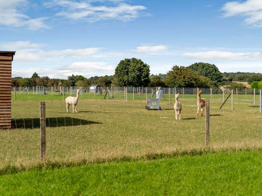 Surrounding area | Blackwell Barn, Raydon near Ipswich